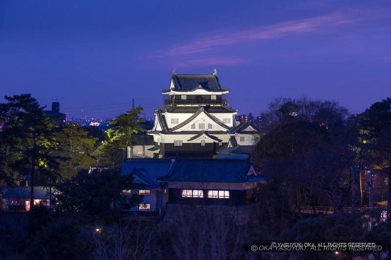 岡崎城のライトアップ