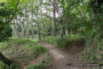韮山城二の丸と本丸土橋