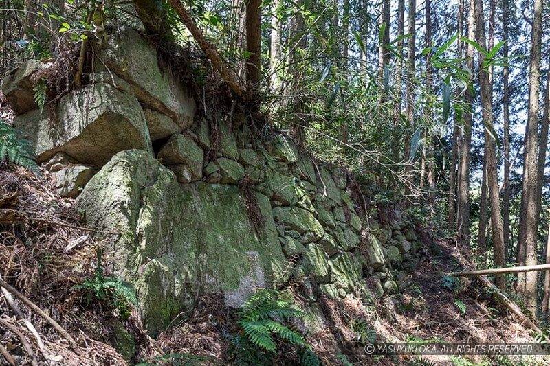 飯盛山城で2018年に発見された石垣