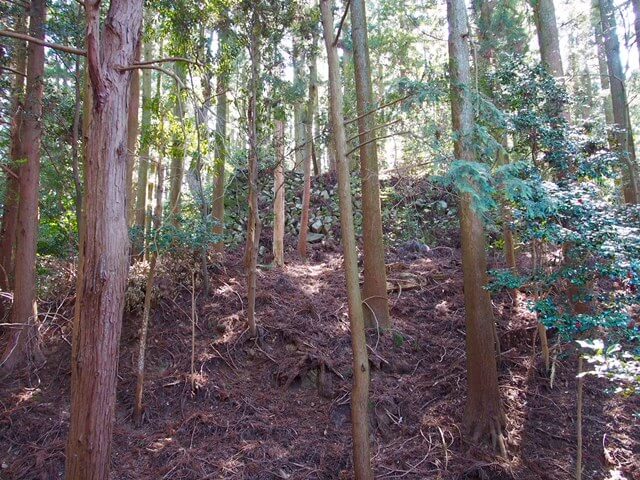 高取城 堀底からの吉野口郭石垣（本荘良智）