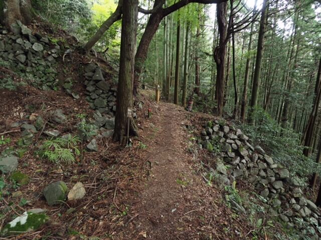 高取城 振り返って見た吉野口門址と土橋（本荘良智）