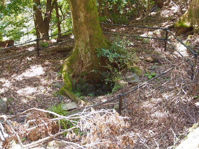 高取城七つ井戸の一つ（本荘良智）