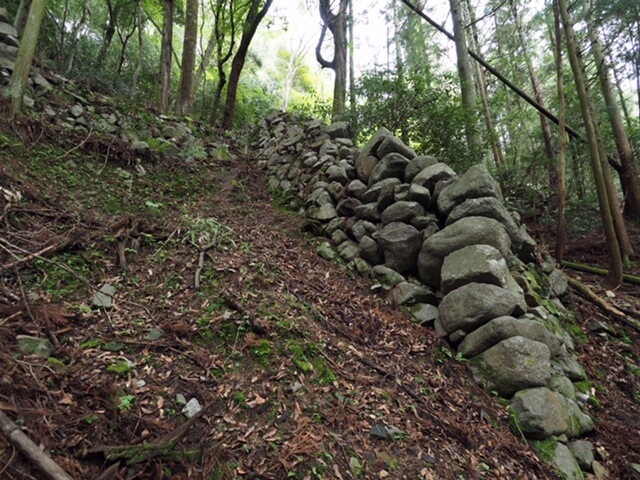 高取城 登り石垣を下から見上げる（本荘良智）