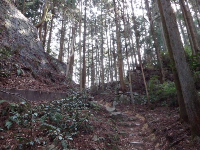 大和高取城松の門址（本荘良智）