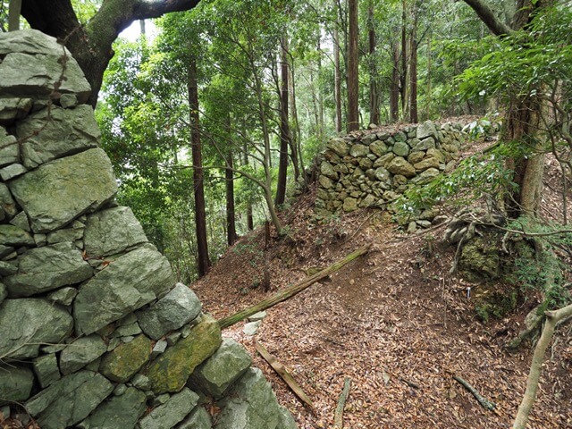 高取城 弥勒堀切（本荘良智）