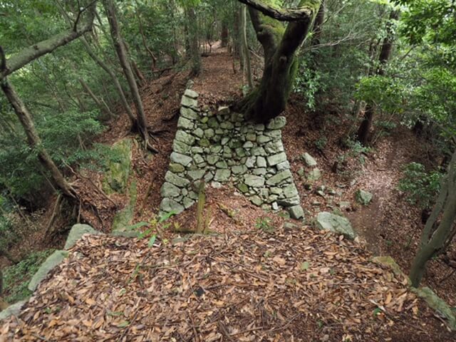 高取城 弥勒堀切（本荘良智）