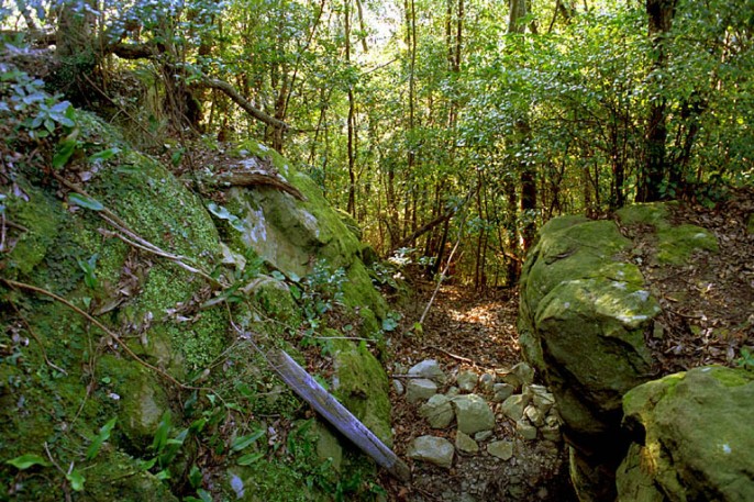 岸岳城