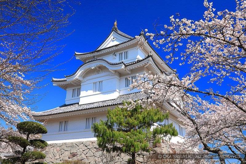 大多喜城の天守