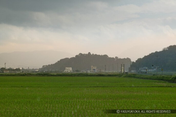 越前大野城遠景