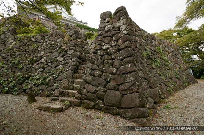 越前大野城