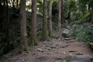 石垣山城