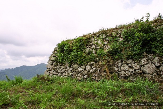 有子山城