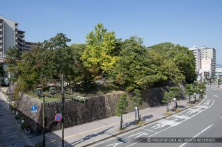 有岡城跡公園全景