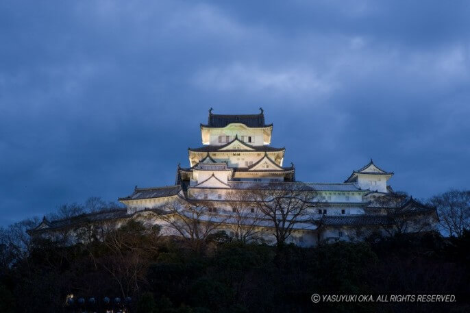 北側から姫路城を望む