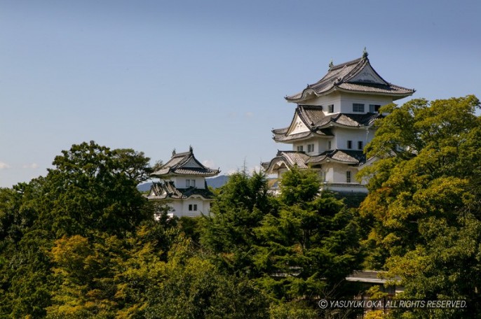 伊賀上野城