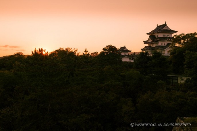 伊賀上野城の夕暮れ