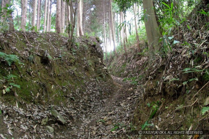 上赤坂城址