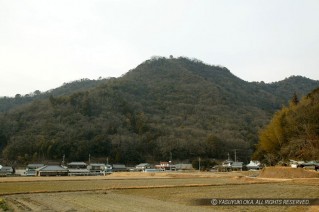 感状山城遠景