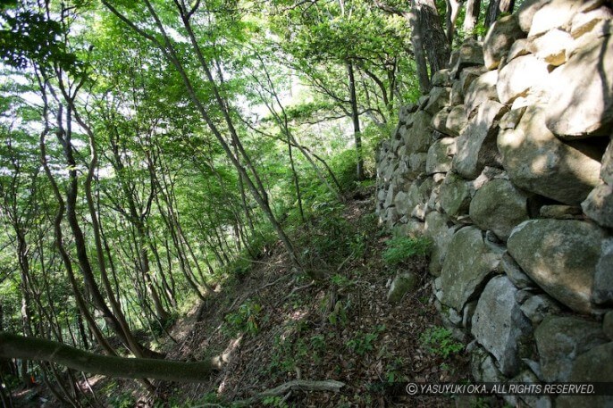 観音寺城址の淡路丸石垣