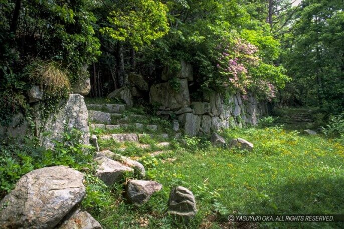 観音寺城址の平井丸虎口