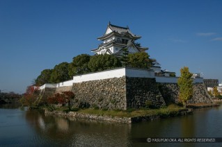 岸和田城・内堀の犬走り