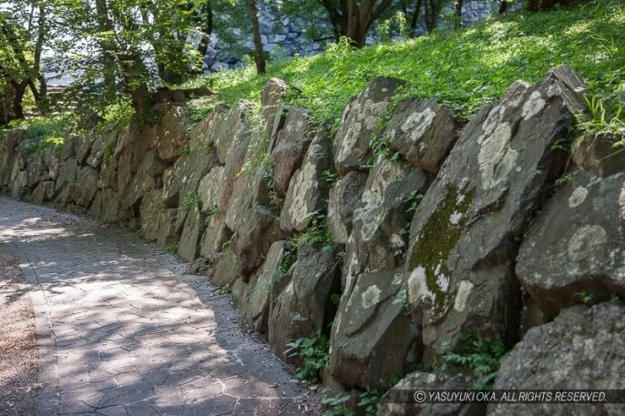 長浜城址の本丸石垣遺構