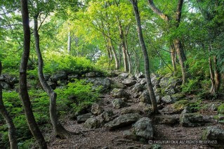 小谷城址の山王丸石垣