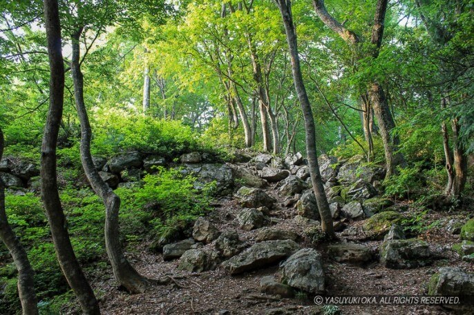 小谷城址の山王丸石垣