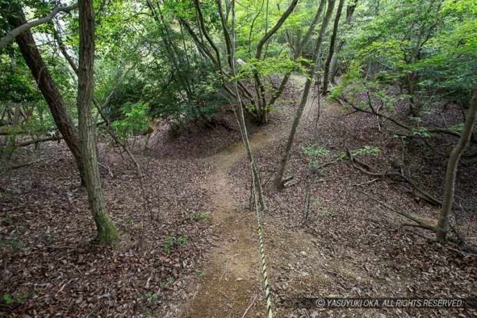 篠ノ丸城の堀切と土橋