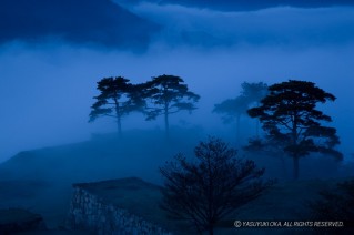 竹田城の雲海