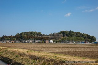 田丸城遠景