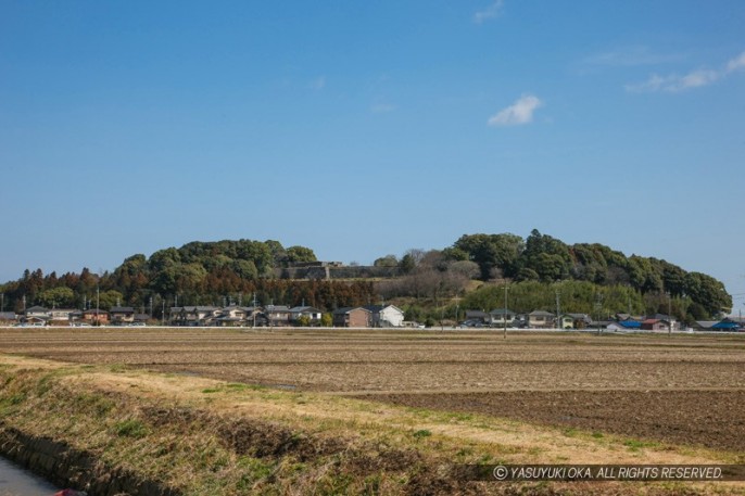 田丸城遠景