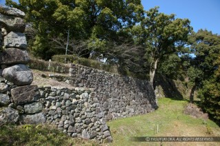 田丸城本丸石垣