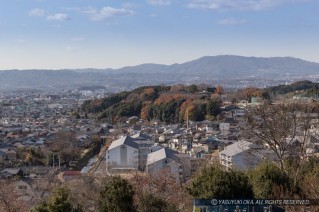 多聞山城遠景