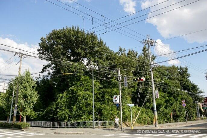 富松城跡