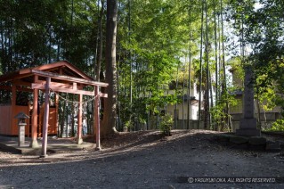 筒井城・菅田比売神社境内の推定土塁