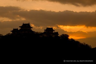 和歌山城の朝日