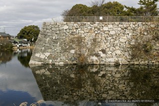 淀城本丸石垣と堀