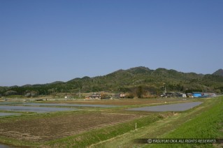 平林城