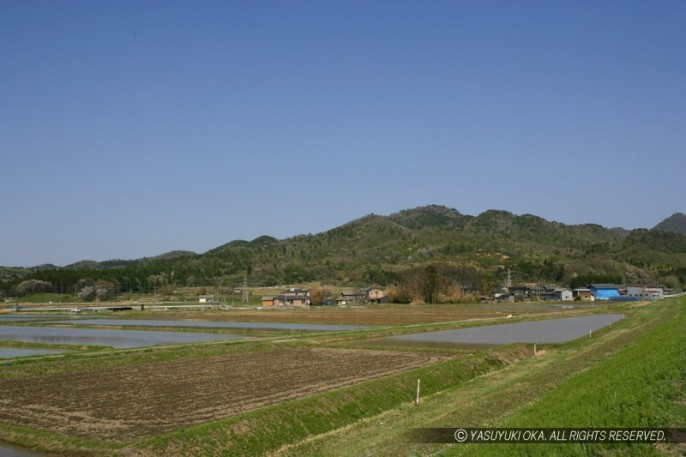 平林城