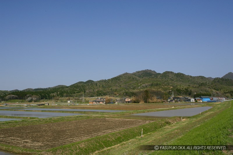 平林城