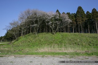 平林城