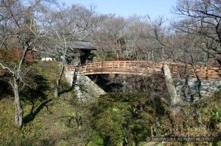 高遠城本丸にかかる桜雲橋