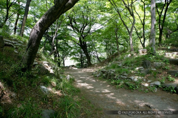 躑躅ヶ崎館