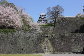 熊本城