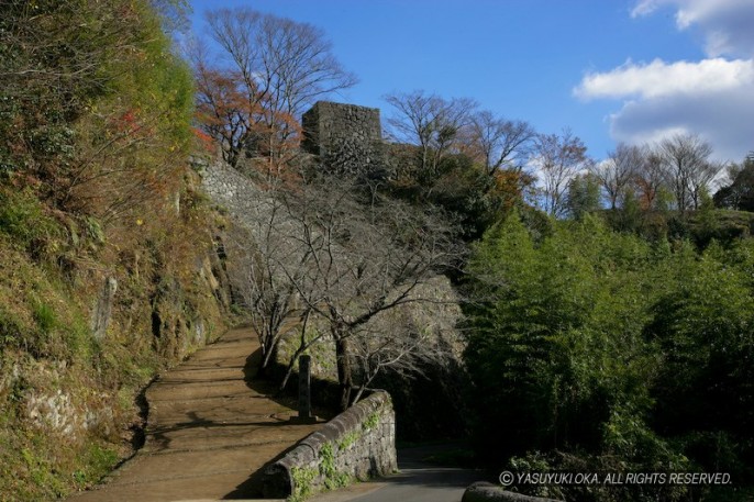 岡城大手口とのかまぼこ塀と石垣