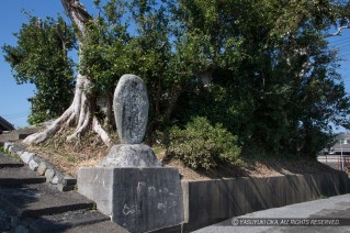 香宗我部城・香宗城