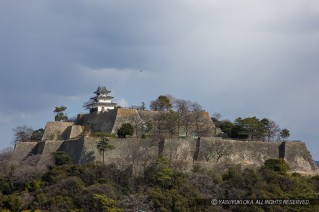 丸亀城