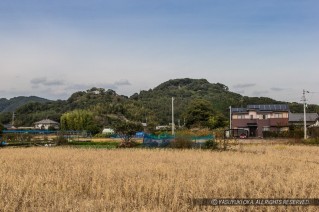 岡豊城遠景