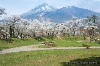 猪苗代城と会津磐梯山